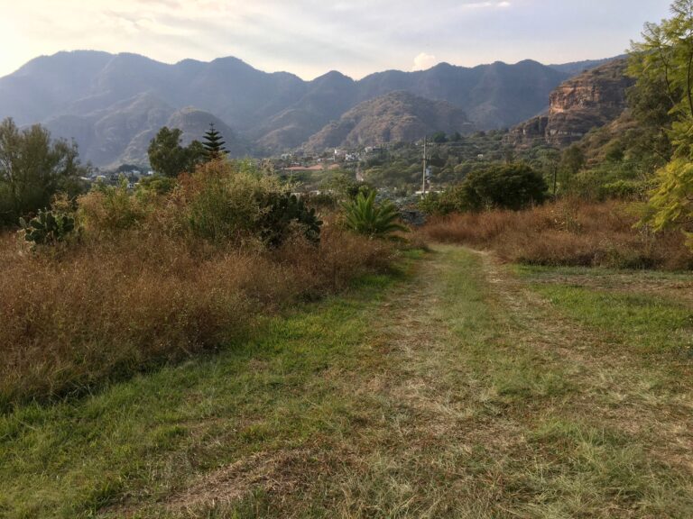 El Tecorral (5)