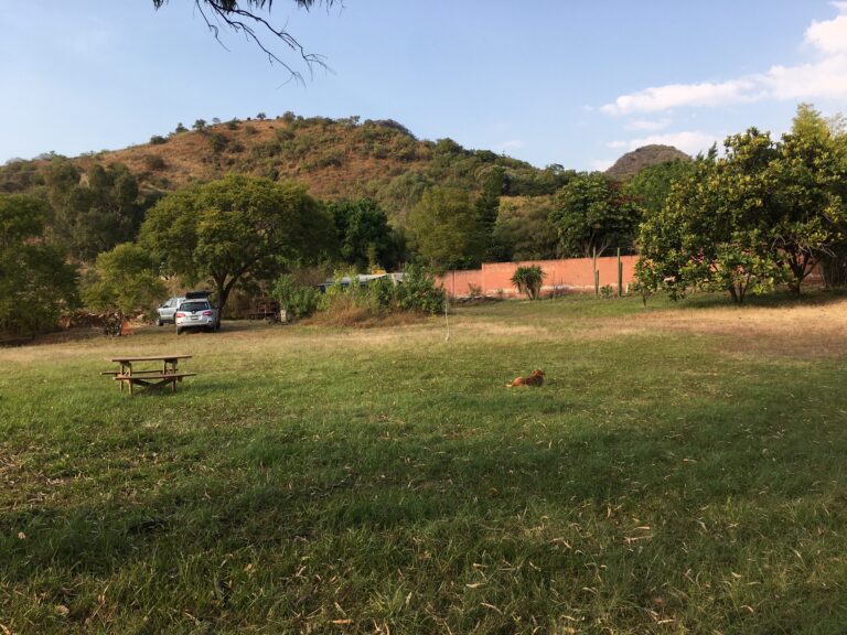 El Tecorral (6)