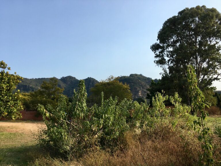El Tecorral (8)