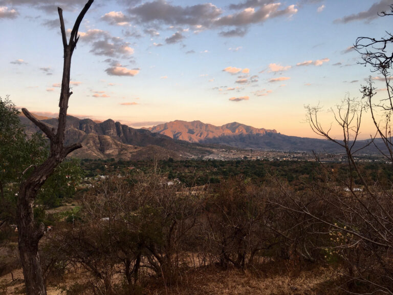 mirador-main