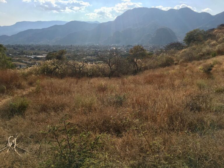terreno-latranca-1