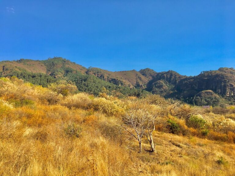 terreno-latranca-2
