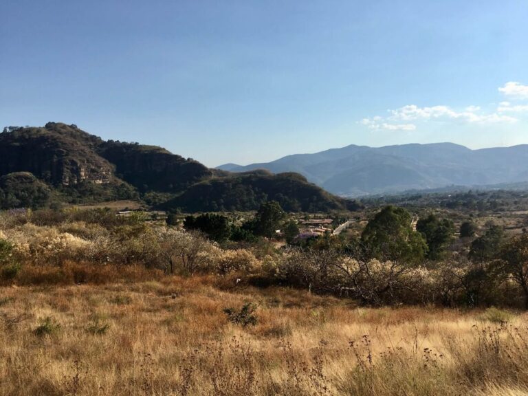 terreno-latranca-3