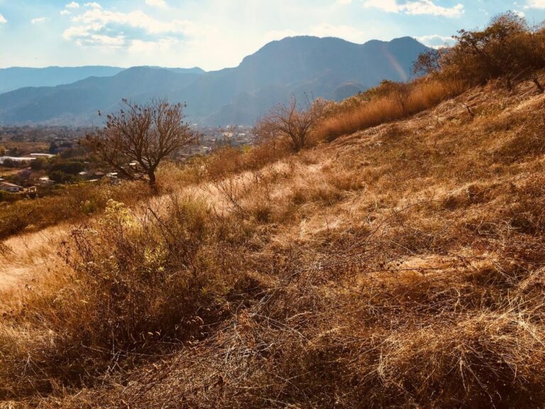 terreno-latranca-4