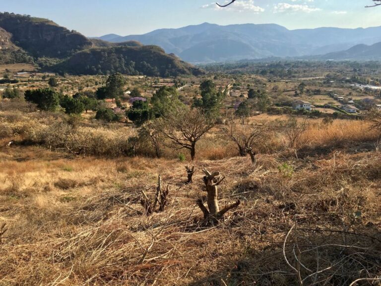terreno-latranca-5