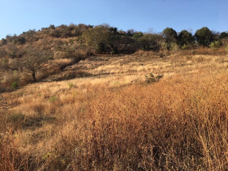 terreno-latranca-6
