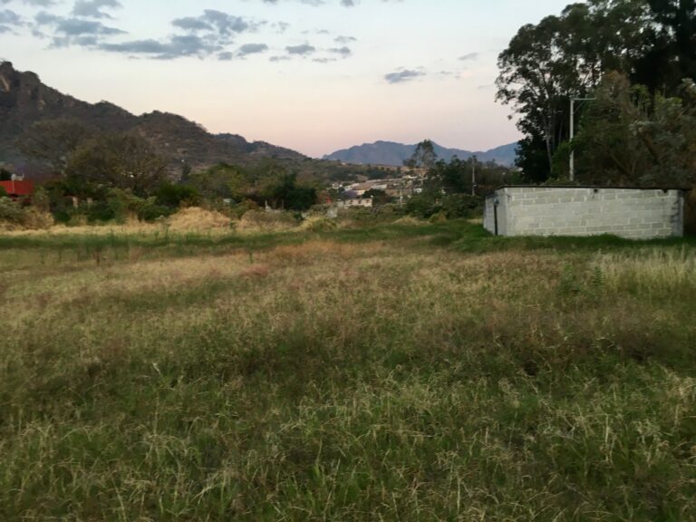 Las Animas (3)