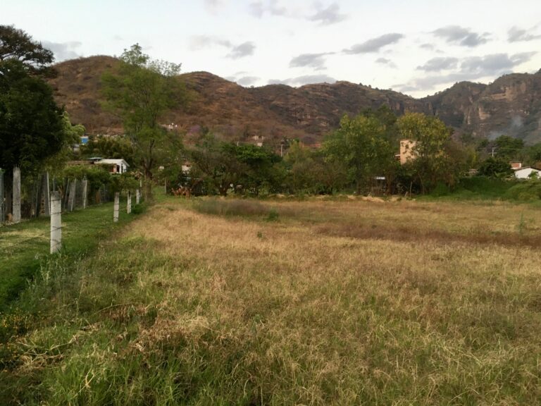 Las Animas (4)