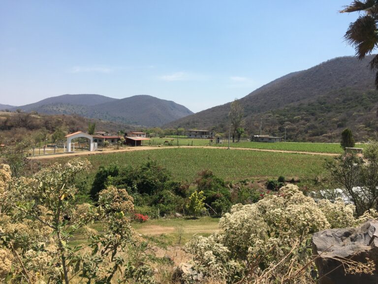 Totonqui (2)