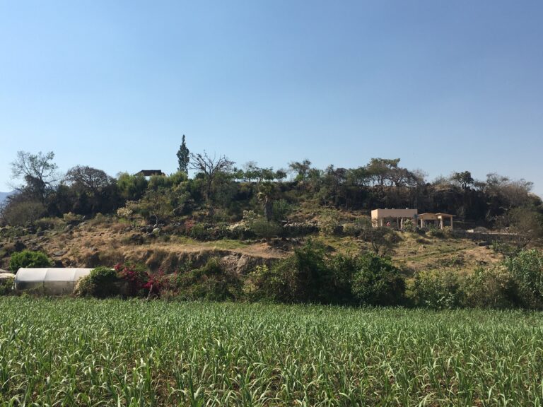 Totonqui (4)